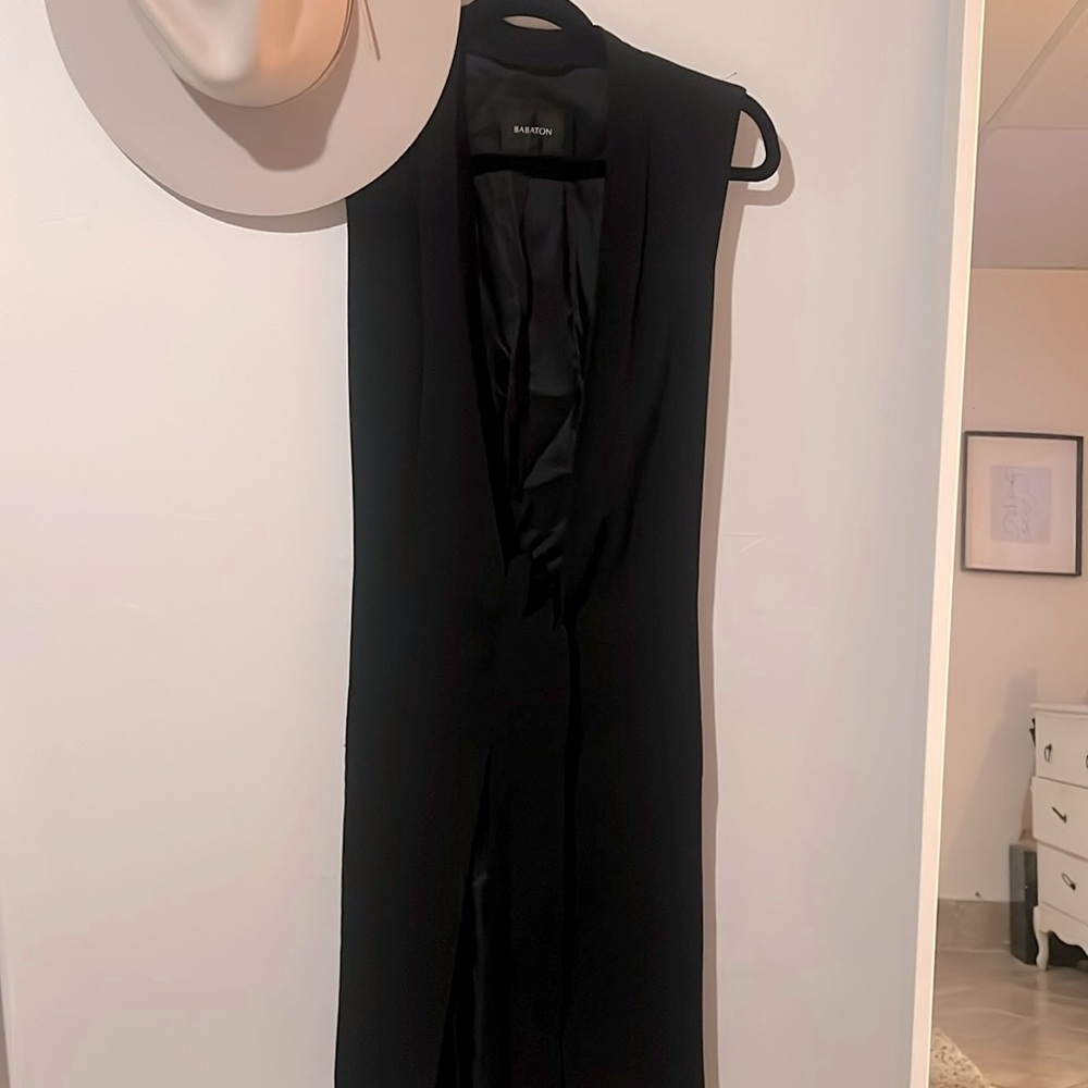 Babaton Aritzia long vest